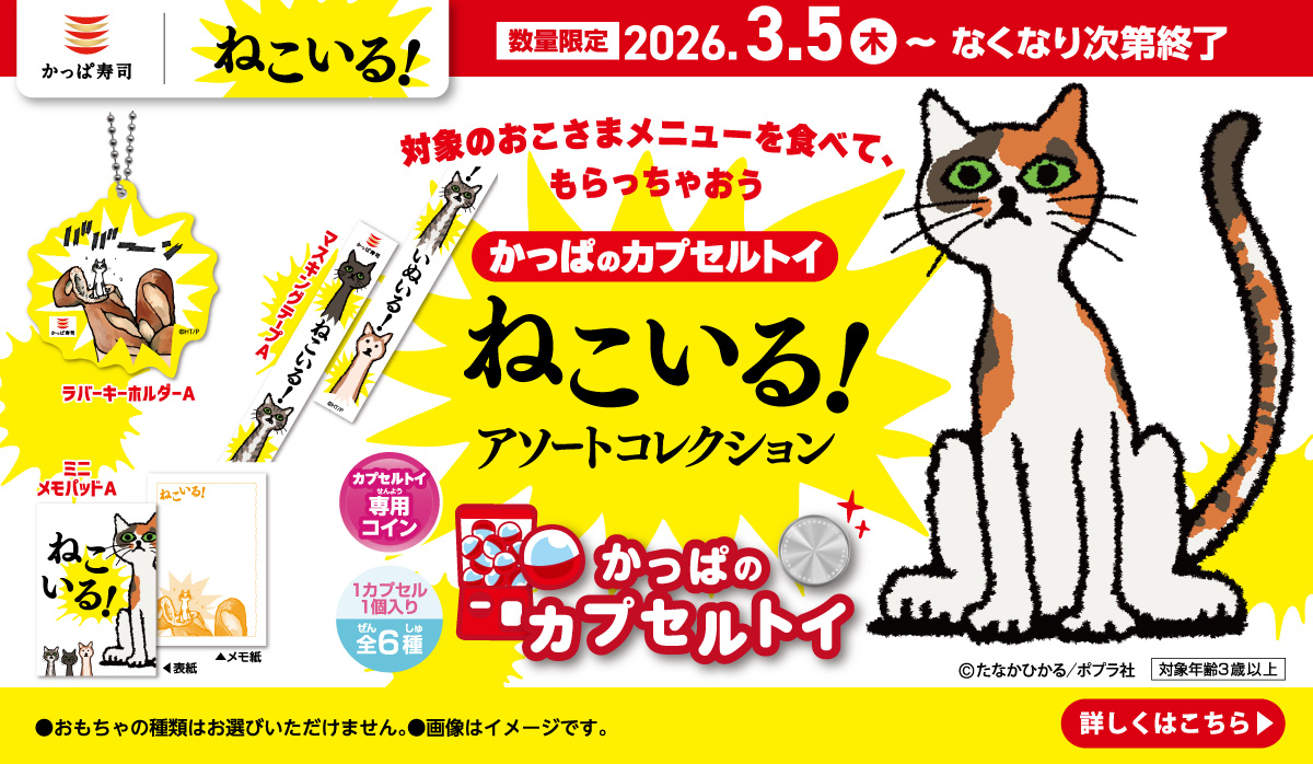 かっぱのカプセルトイ｜ねこいる！アソートコレクション｜おこさまセット